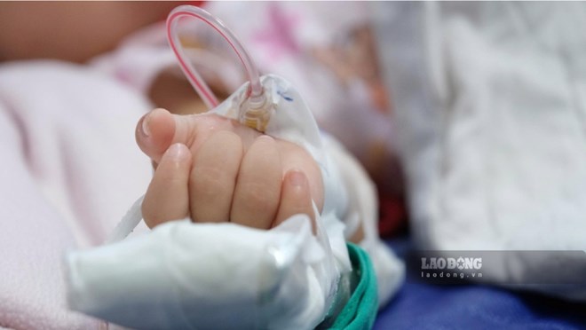 An Giang nêu phương án ứng phó đỉnh dịch khi ca sốt xuất huyết tăng gấp đôi