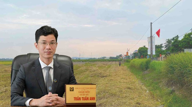 Luật sư Trần Tuấn Anh - Giám đốc Công ty Luật Bright Legal. Ảnh: Thạch Lam