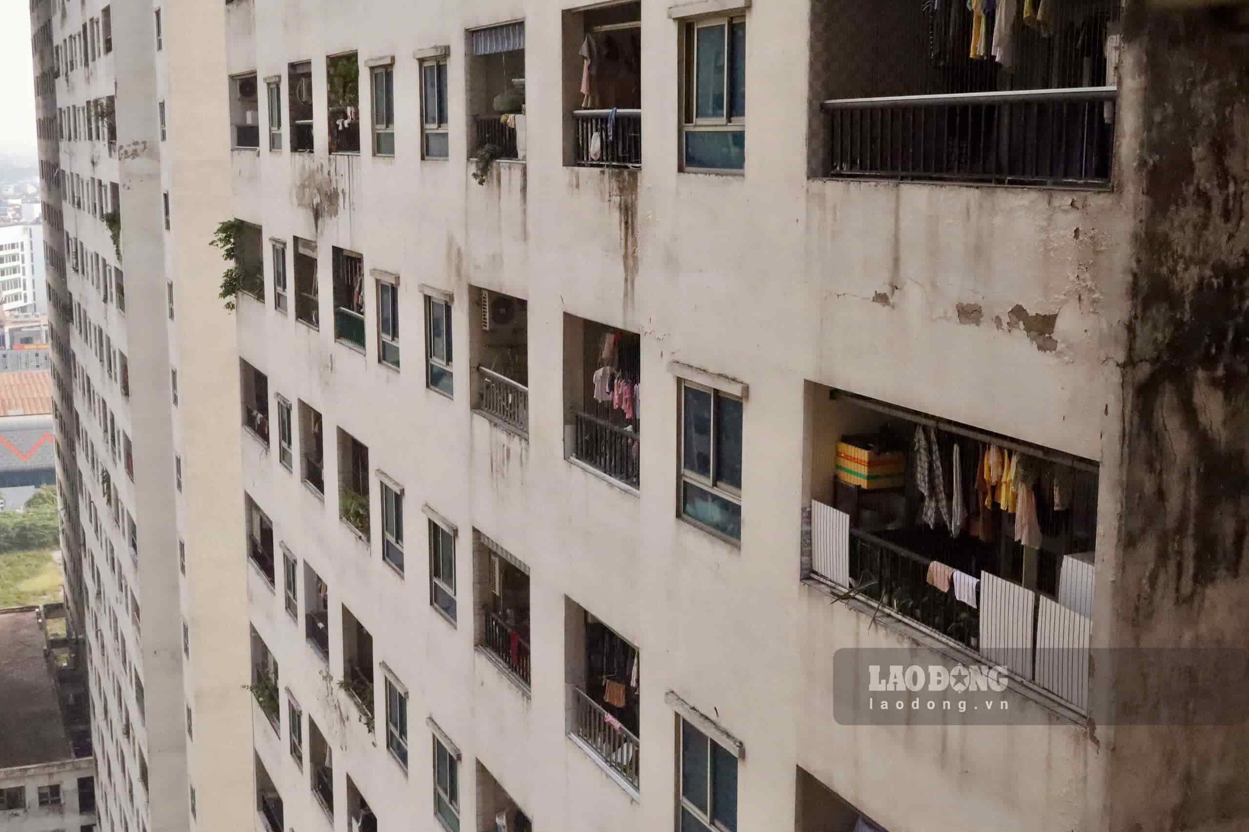 Nhiều đoạn tường tróc sơn, mốc đen. Ảnh: Trân Châu