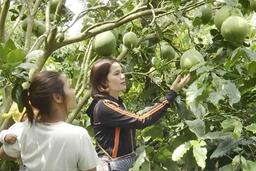 <a href="/phat-trien-ben-vung" title="Phát triển bền vững" rel="dofollow">Phát triển bền vững</a>