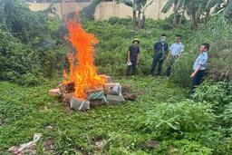 <a href="/phap-luat" title="Pháp luật" rel="dofollow">Pháp luật</a>