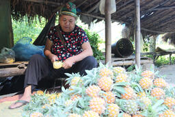 <a href="/phat-trien-ben-vung" title="Phát triển bền vững" rel="dofollow">Phát triển bền vững</a>