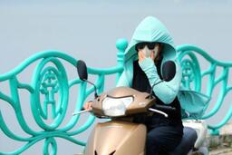 <a href="/phat-trien-ben-vung" title="Phát triển bền vững" rel="dofollow">Phát triển bền vững</a>