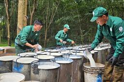 <a href="/phat-trien-ben-vung" title="Phát triển bền vững" rel="dofollow">Phát triển bền vững</a>
