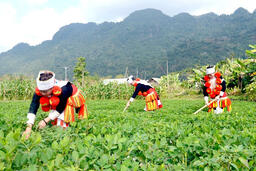 <a href="/phat-trien-ben-vung" title="Phát triển bền vững" rel="dofollow">Phát triển bền vững</a>