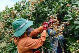 <a href="/phat-trien-ben-vung" title="Phát triển bền vững" rel="dofollow">Phát triển bền vững</a>