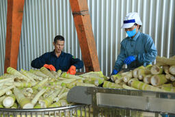 <a href="/phat-trien-ben-vung" title="Phát triển bền vững" rel="dofollow">Phát triển bền vững</a>