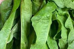 <a href="/van-de-hom-nay" title="Vấn đề hôm nay" rel="dofollow">Vấn đề hôm nay</a>