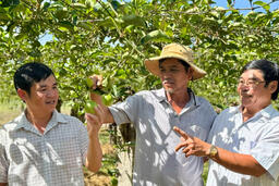 <a href="/phat-trien-ben-vung" title="Phát triển bền vững" rel="dofollow">Phát triển bền vững</a>