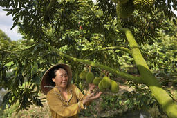 <a href="/tin-tuc" title="Tin tức" rel="dofollow">Tin tức</a>