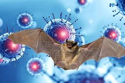 <a href="/van-de-hom-nay" title="Vấn đề hôm nay" rel="dofollow">Vấn đề hôm nay</a>