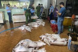 <a href="/phap-luat" title="Pháp luật" rel="dofollow">Pháp luật</a>