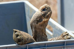 <a href="/van-hoa" title="Văn hóa" rel="dofollow">Văn hóa</a>