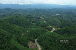 <a href="/tin-tuc" title="Tin tức" rel="dofollow">Tin tức</a>