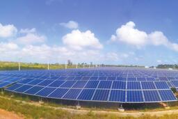 <a href="/tin-tuc" title="Tin tức" rel="dofollow">Tin tức</a>