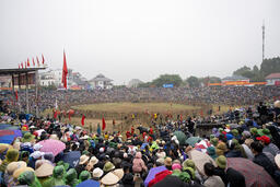 <a href="/van-hoa" title="Văn hóa" rel="dofollow">Văn hóa</a>