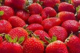 <a href="/van-de-hom-nay" title="Vấn đề hôm nay" rel="dofollow">Vấn đề hôm nay</a>