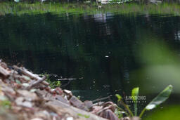 <a href="/tin-tuc" title="Tin tức" rel="dofollow">Tin tức</a>