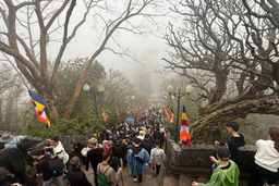 <a href="/van-hoa" title="Văn hóa" rel="dofollow">Văn hóa</a>