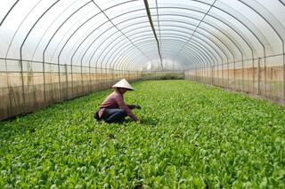 <a href="/phat-trien-ben-vung" title="Phát triển bền vững" rel="dofollow">Phát triển bền vững</a>