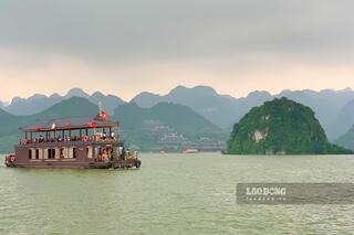 <a href="/van-hoa" title="Văn hóa" rel="dofollow">Văn hóa</a>