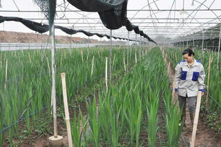 <a href="/phat-trien-ben-vung" title="Phát triển bền vững" rel="dofollow">Phát triển bền vững</a>