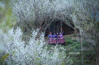 <a href="/van-de-hom-nay" title="Vấn đề hôm nay" rel="dofollow">Vấn đề hôm nay</a>