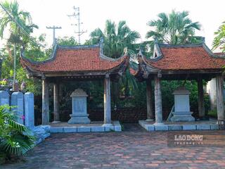 Làng cổ 500 tuổi hình cá chép độc nhất vô nhị ở Ninh Bình