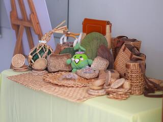 Biến lục bình, lá sen thành sản phẩm bảo vệ môi trường