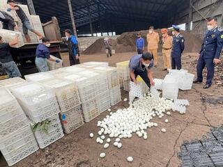 Xử phạt 66 trường hợp vi phạm an toàn thực phẩm ở Quảng Ninh