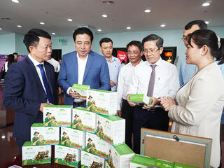 Chuyển đổi xanh mở ra hướng phát triển bền vững cho Đà Nẵng