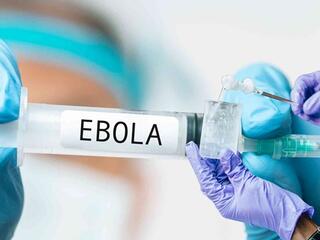 TPHCM siết giám sát cửa khẩu, chủ động ngăn nguy cơ dịch Ebola xâm nhập