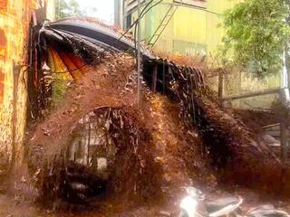 Diễn biến mới về vụ cá chết hàng loạt trên sông Lam