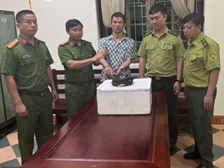 Vận chuyển một cá thể rắn hổ chúa đã chết, người đàn ông ở Ninh Bình bị khởi tố