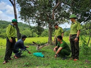 Đánh thức tiềm năng du lịch xanh Kon Ka Kinh
