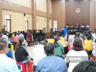 Tuyên án chung thân nguyên Tổng Giám đốc lừa đảo chiếm đoạt hơn 426 tỉ đồng