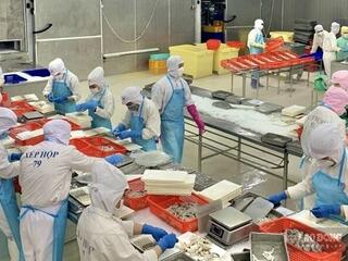Cam kết thu nhập 12 triệu đồng/tháng, doanh nghiệp ở Cà Mau vẫn khó tuyển lao động