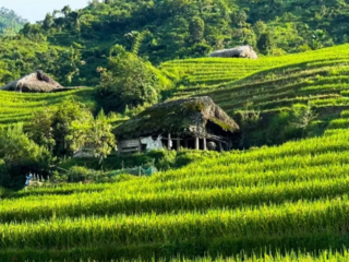 Điểm tựa để đồng bào vùng biên vươn lên thoát nghèo