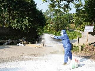Phú Thọ ghi nhận 44 ổ dịch tả lợn châu Phi