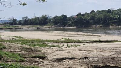 Sông Hồng cạn, có đoạn ở Phú Thọ nhỏ như dòng suối