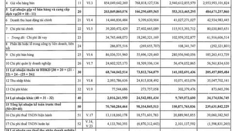 Thuỷ sản Nam Việt (ANV): Quý 4 lãi 53 tỷ đồng, giảm 39% so với cùng kỳ