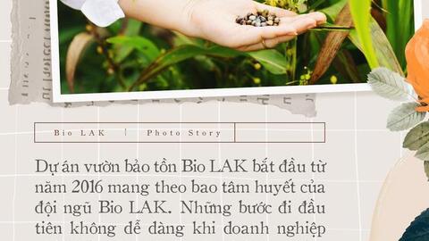 Bio LAK và hành trình bền bỉ bảo tồn những giá trị Việt