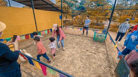 Một vài địa điểm vui chơi ở Hà Nội mở xuyên Tết, bố mẹ tha hồ đưa con đi du Xuân thôi!