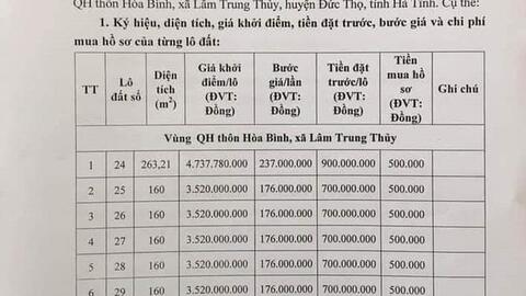 Hà Tĩnh: Đất ở nông thôn bán đấu giá “trên trời”