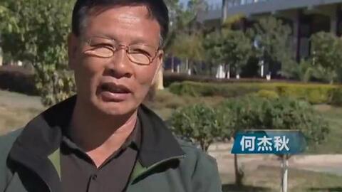 Bị giễu cợt là ''kẻ điên'', ông vua ngành thép 62 tuổi vẫn bất chấp chi tiền khủng thả 60 triệu cá giống xuống sông, cứ ngỡ mất trắng nhưng 9 năm sau thu về ''cỗ máy in tiền triệu''
