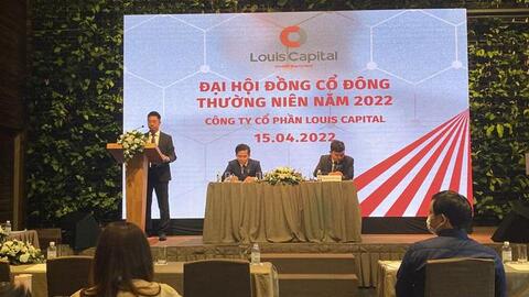 Louis Capital: Doanh thu 2021 tăng gấp 77 lần, biến lỗ thành lãi, sẽ phát hành cổ phiếu để huy động thêm gần 700 tỷ đồng