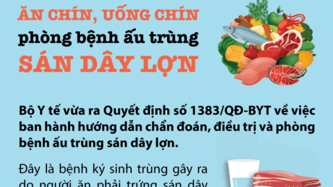 Ăn chín, uống chín phòng bệnh ấu trùng sán dây lợn