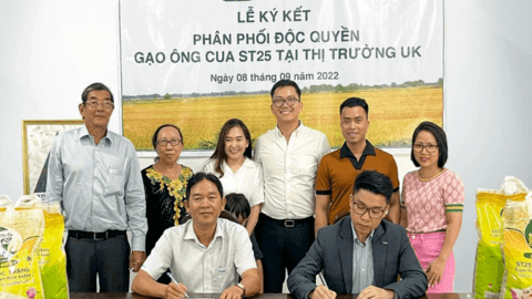 Sau Úc, gạo Ông Cua ST25 chính thức vào thị trường Anh