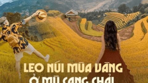 Lúa Tây Bắc chín rồi, ghim ngay địa điểm leo núi đẹp nhất để không trễ hẹn mùa vàng năm nay