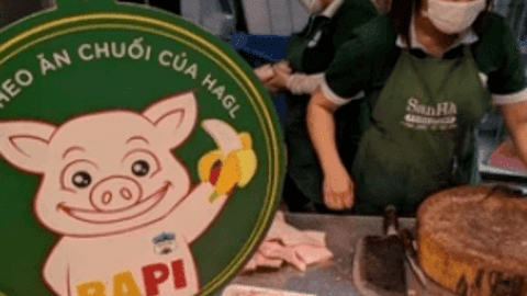 9 tháng đầu năm, Hoàng Anh Gia Lai hoàn thành 79% kế hoạch lợi nhuận đề ra
